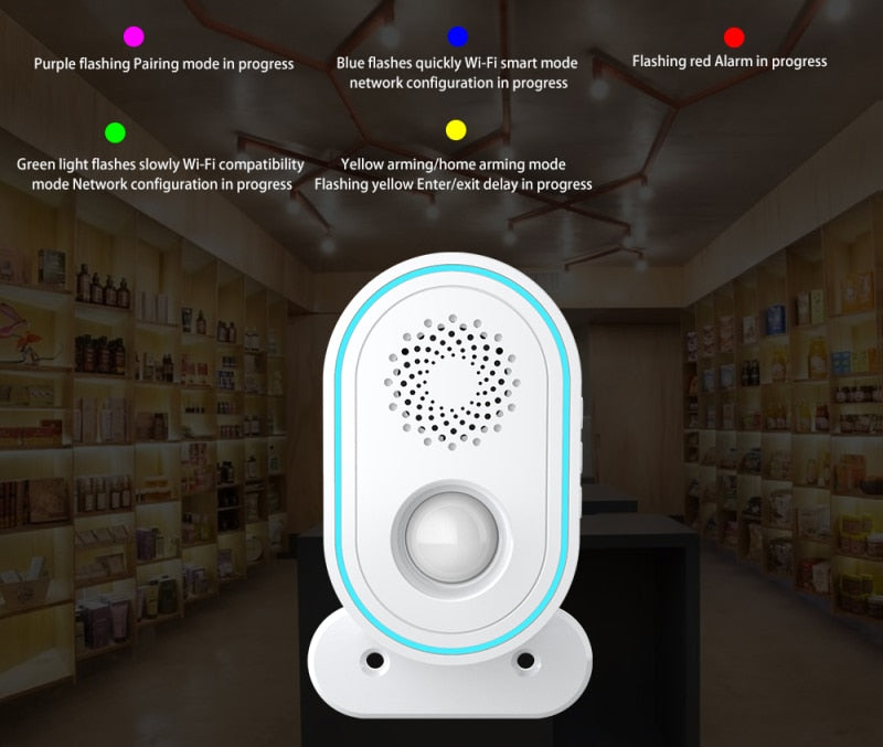 Smart Motion Sensor Alarm
